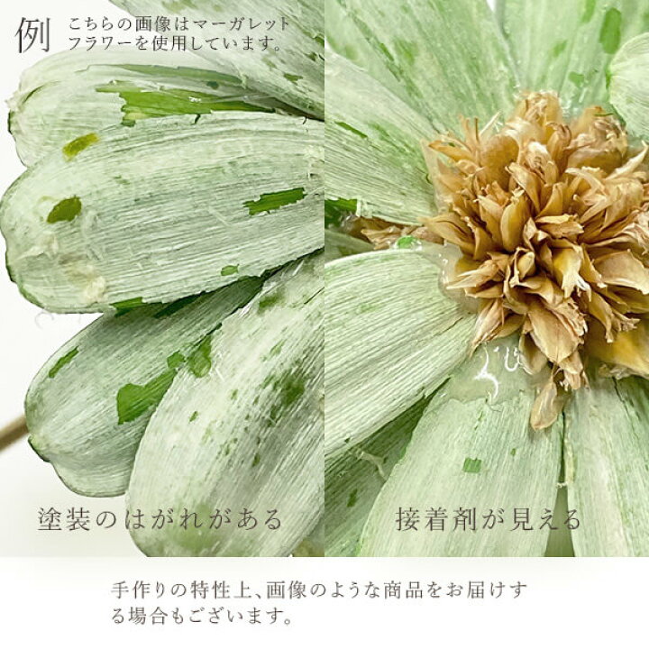 楽天市場 ハンドメイドフラワー 花材 即日出荷 大地農園 プチフラワー 白ハンドメイドフラワー ドライフラワー スワッグ ブーケ ドライフラワー花束 花束 かわいい ナチュラル お得 安い ドライフラワースワッグ リース アレンジ 花材 素材 材料 花 造花ドライ