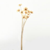 ハンドメイドフラワー 花材 即日出荷 アネモネフラワー 白 ドライフラワー ハンドメイドフラワー アネモ…