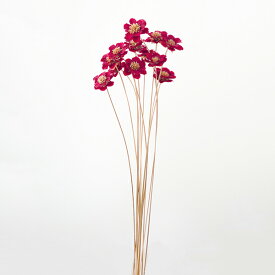ハンドメイドフラワー 花材 即日出荷 アネモネフラワー ワインレッド ドライフラワー ハンドメイドフラワー アネモネ アネモネフラワー スワッグ ブーケ 花束 花材 大地農園