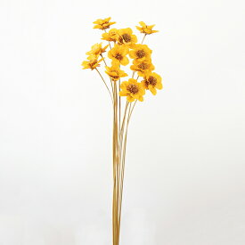 【40％OFF】 ハンドメイドフラワー 花材 即日出荷 アネモネフラワー イエロー ドライフラワー ハンドメイドフラワー アネモネ アネモネフラワー スワッグ ブーケ ドライフラワー花束 ドライフラワースワッグ 大地農園