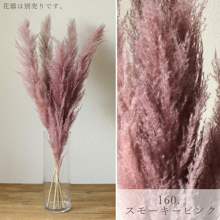 楽天市場 ドライフラワー 花材 即日出荷 大地農園 ビッグテールリード 白テールリード 穂 パンパス系 ドライフラワー スワッグ ブーケ ふわふわ ドライフラワー花束 白 ホワイト クリーム 花束 ドライフラワースワッグ リース アレンジ 花材 素材 造花ドライ