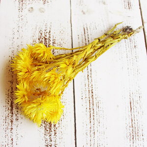 hCt[ ԍ o Vo[fCW[ RF Vo[f[W[ ԍ f ޗ p[c hCt[ XbO u[P hCt[ԑ [X  f