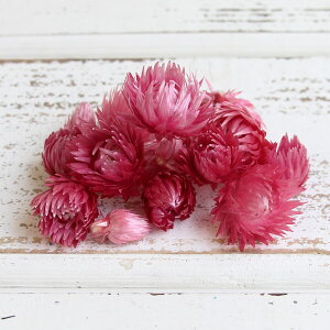 yP10{ 12/31܂ŁIz hCt[ ԍ o Vo[fCW[wbh Yx[ Vo[f[W[ ԍ f ޗ p[c hCt[ XbO u[P hCt[ԑ 