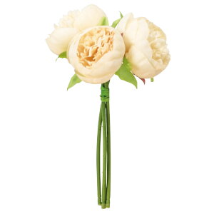 yP10{ z  Ƃ悹i sIj[o` {^ O VNN 䉖 CeA CeAt[ tFCNt[ VNt[ CeAO[ AXJ ASCA AXJ