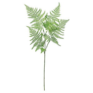 yP10{ 12/31܂ŁIz  O[ Ƃ悹i AXpKXt@[ CeA tFCN O[ p[c CeAt[ tFCNt[ VNt[ ԍ AXJ ASCA AXJ