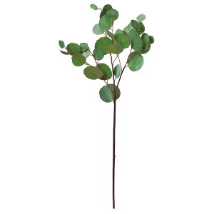 yP10{ 12/31܂ŁIz  O[ Ƃ悹i [Jx[ CeA tFCN O[ p[c CeAt[ tFCNt[ VNt[ ԍ Ԏ AXJ ASCA AXJ