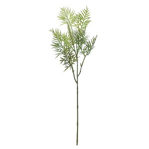 yP10{ 12/31܂ŁIz  O[ Ƃ悹i OrA[t CeA tFCN O[ p[c CeAt[ tFCNt[ VNt[ ԍ f AXJ ASCA AXJ