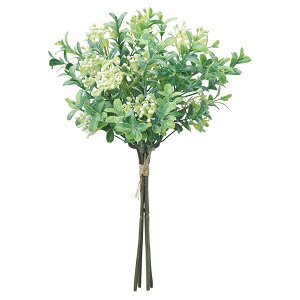  O[ Ƃ悹i {bNXEbho`(15{) CeA tFCN O[ p[c CeAt[ tFCNt[ ԍ Ԏ AXJ ASCA AXJ