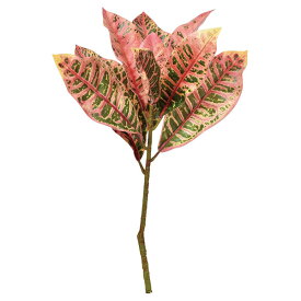 楽天市場 ドライフラワー ガーランド 種類 植物 クロトン の通販