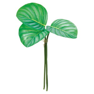  O[ Ƃ悹i JeAo`(13{) CeA tFCN O[ p[c CeAt[ tFCNt[ VNt[ ԍ AXJ ASCA AXJ