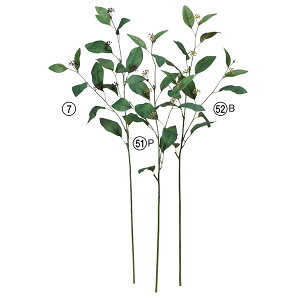  O[  Ƃ悹i x[[tXv[ CeA tFCN O[ p[c AWg CeAt[ tFCNt[ t AXJ ASCA AXJ