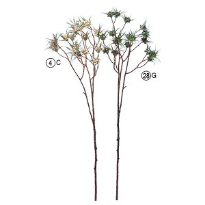 yP10{ z  O[  Ƃ悹i x[Xv[ CeA tFCN O[ p[c AWg CeAt[ tFCNt[ ԍ f AXJ ASCA AXJ