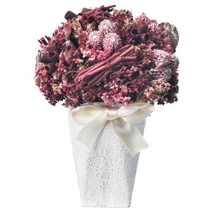 yP10{ 12/31܂ŁIz Ƃ悹i K[fAW|bg p[c AWg Ԏ  ޗ ʐ^Be    t  H ~ ЂȂ ܌ ̓  AXJ ASCA AXJ