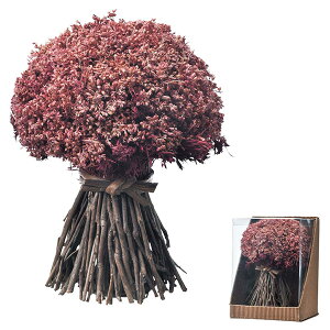 yP10{ 12/31܂ŁIz Ƃ悹i x[cCbOX^h p[c AWg Ԏ  ޗ ʐ^Be    t  H ~ ЂȂ ܌ ̓  AXJ ASCA AXJ