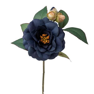  Ƃ悹i  _[NlCr[ a coL JA CeA CeAt[ tFCNt[ VNt[ CeAO[ tFCNO[ ԍ p