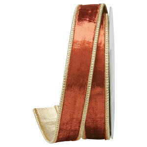 yP10{ 12/31܂ŁIz AW bsO { NX}X nhCh Ƃ悹i xxbg{ r[h xxbh N  ̊ i GKg  AXJ ASCA AXJ