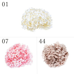 vU[uht[ ԍ o AfXAWTC AWTC  z Ԃт vU[uht[ XbO u[P hCt[ ԑ [X AW ԍ