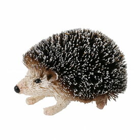 楽天市場 ハリネズミ たわしの通販