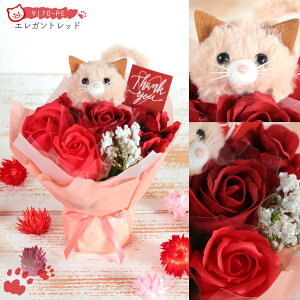 ő50~OFFN[|IubNtCf[ \[vt[ v[g o ӂӂAj}̃\[vt[u[PS a j av[g ԑ  Mtg IV 