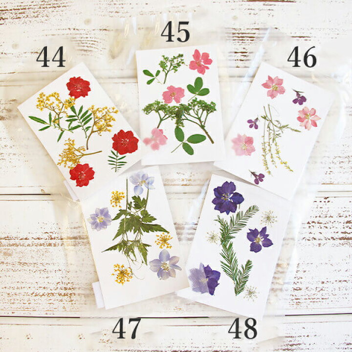 楽天市場 押し花 即日出荷 そらーる 押し花アソートセット A押し花 花 ドライフラワー パーツ 花材 小分け 少量 レジン ハーバリウム ハリエ 花材素材 材料 サロマワックスサシェ デコ パーツ ハンドメイド 教室 アクセサリー ボタニカル 造花ドライフラワー