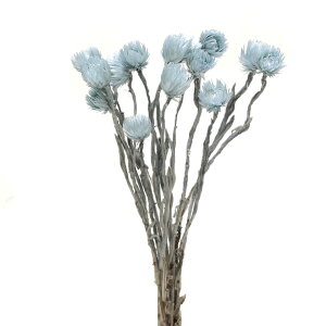 hCt[ ԍ o Vo[fCW[ OCu[ 摜ꍇ܂ Vo[f[W[ ԍ f ޗ p[c hCt[ ԑ f