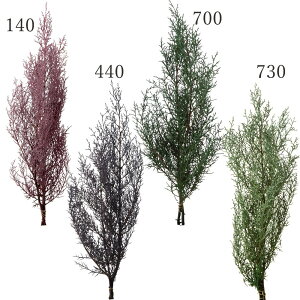 �yP10�{ 12/31�܂ŁI�z �v���U�[�u�h�t�����[ �ԍ� �Ƃ�悹�i �u���[�A�C�X �h���C�t�����[ �ԍ� �f�� �p�[�c �ޗ� �O���[�� ���[�t �t �v���U�O���[�� �v���U�[�u�h�O���[�� Preserving ��n�_