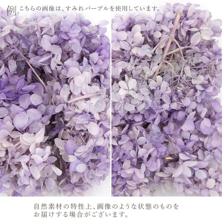 楽天市場】プリザーブドフラワー 花材 とりよせ品 ソフトピラミッド 