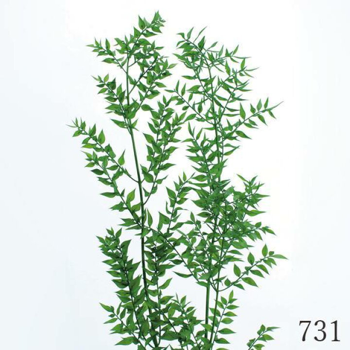 X02c2ukvsid2hm