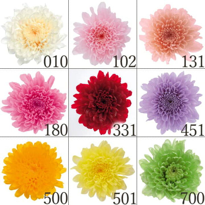 楽天市場】プリザーブドフラワー 花材 とりよせ品 小菊(1箱12輪入り 
