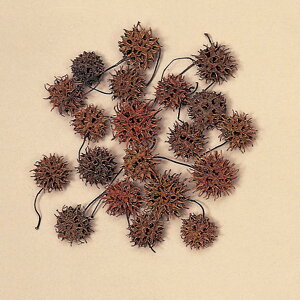 hCt[ ԍ Ƃ悹i Ao[o[ ؂̎ t[c ʎ ibc hC Rf hCt[ i`hCt[ CeA v vU n_