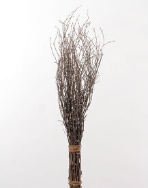 《 ドライフラワー 》◆とりよせ品◆大地農園 白樺小枝 70cm 70cmドライ 自然素材