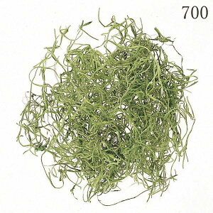 vU[uht[ ԍ Ƃ悹i \tgXpjbVX vdl 1kg hCt[ ԍ f p[c ޗ X RP  n[oE v vU[uh n_