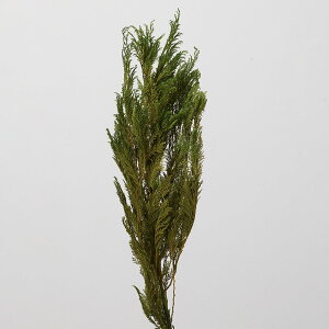 vU[uht[ ԍ Ƃ悹i Rqo ԍ f ޗ p[c hCt[ t [t NX}X  XbO u[P vU ԑ [X AW  n_