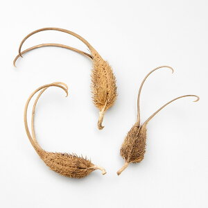 yP10{ z hCt[ ԍ Ƃ悹i cmS} ԍ f ޗ p[c  cmS}̎ XbO CeA fBXvC [X AW AWg i` n_