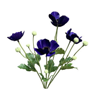 yP10{ 12/31܂ŁIz  Ƃ悹i AllubV oCIbg {^C`Q niC`Q xjoiILiOT A[eBtBVt[ CeA CeAt[ ԍ Ԏ