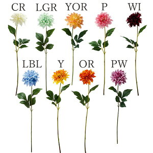 yP10{ z  Ƃ悹i _Aj[W(1Zbg12{) CeA CeAt[ tFCNt[ VNt[ CeAO[ lfBXvC~[WA YDM