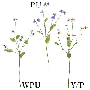 yP10{ z  Ƃ悹i yeBrIXv[(1Zbg12{) CeA CeAt[ tFCNt[ VNt[ ԍ Ԏ lfBXvC~[WA YDM