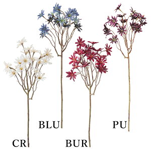 yP10{ z  Ƃ悹i hCf[W[Xv[(1Zbg12{) CeA CeAt[ tFCNt[ VNt[ ԍ Ԏ lfBXvC~[WA YDM