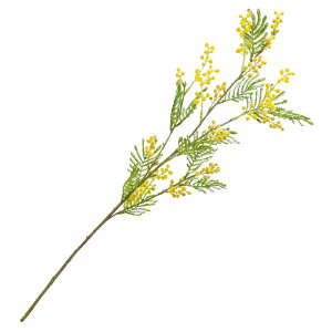 yP10{ z  Ƃ悹i ~UXv[(1Zbg12{) CeA CeAt[ tFCNt[ VNt[ CeAO[ lfBXvC~[WA YDM