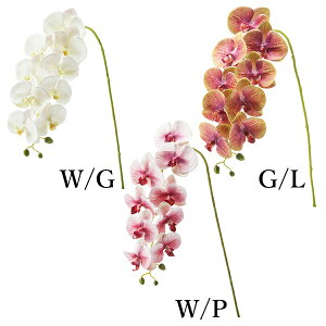  Ƃ悹i R`E(1Zbg6{) CeA CeAt[ tFCNt[ VNt[ CeAO[ DIY lfBXvC~[WA YDM