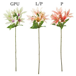 yP10{ z  Ƃ悹i IG^[(1Zbg12{) S   A[eBtBVt[ CeA CeAt[ ԍ lfBXvC~[WA YDM