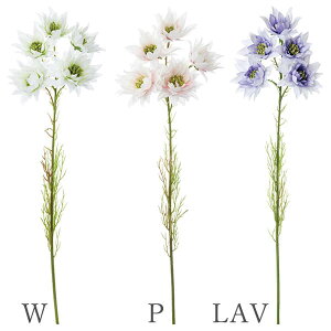  Ƃ悹i ZA(1Zbg12{) CeA CeAt[ tFCNt[ VNt[ CeAO[ ԍ lfBXvC~[WA YDM