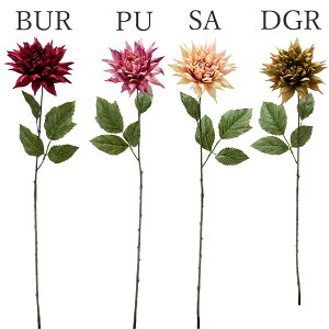  Ƃ悹i VO_A(1Zbg12{) CeA CeAt[ tFCNt[ VNt[ CeAO[ lfBXvC~[WA YDM