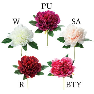 P10{ }\  Ƃ悹i sIj[sbN(1Zbg12{) {^ O VNN 䉖 CeA CeAt[ tFCNt[ ԍ lfBXvC~[