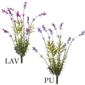 yP10{ z  Ƃ悹i x_[ubVS(1Zbg12{) n[u CeA CeAt[ tFCNt[ VNt[ ԍ t lfBXvC~[WA YDM