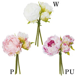 yP10{ }\z  Ƃ悹i sIj[oh(1Zbg12) {^ O VNN 䉖 CeA CeAt[ tFCNt[ ԍ lfBXvC~