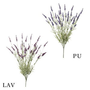  Ƃ悹i x_[ubV(1Zbg8{) n[u CeA CeAt[ tFCNt[ VNt[ ԍ f lfBXvC~[WA YDM