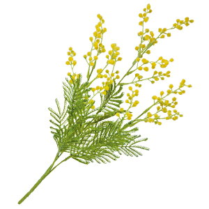 yP10{ z  Ƃ悹i ~UubV(1Zbg12{) CeA CeAt[ tFCNt[ VNt[ CeAO[ lfBXvC~[WA YDM