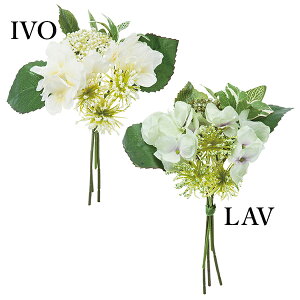  Ƃ悹i nChWA[tu[P(1Zbg12) z AWTC CeA CeAt[ tFCNt[ ԍ lfBXvC~[WA YDM