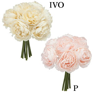  Ƃ悹i ptB[iLXu[P(1Zbg12) CeA CeAt[ tFCNt[ VNt[ ԍ lfBXvC~[WA YDM